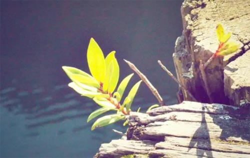 ��(chu��ng)�I(y��)��ʿ�Ą�(l��)־����