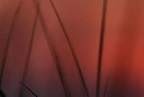 ������������ˡ����ܵĄ�־��������