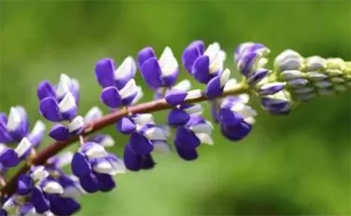 �����������x���