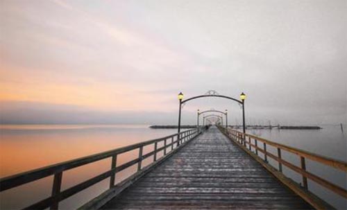 ��(l��)־�����W�¾��x