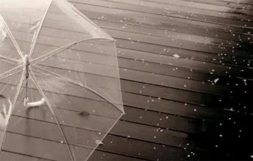 ��Ī����Ԏ�q����̶