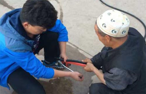 ����У�L��������ı�����