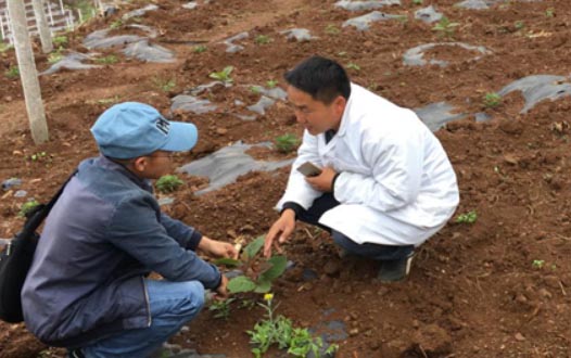 ����������־Ը���ս��v���������Ļؑ�