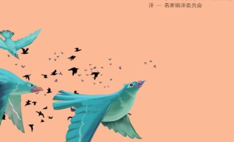 �x�����B���и�