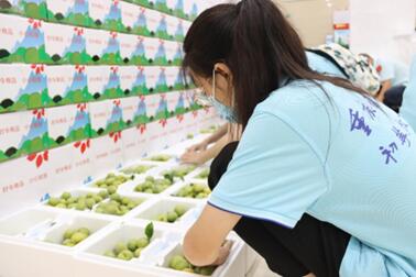 ���M�a�I���d�������l�����d