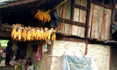 �ҵİ�32���W��һ����������