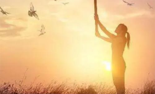 ��һ�N����