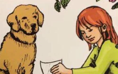 ��С���X�X���x���