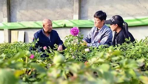 ɽ�|��W�����l���I���������r�ˡ� �����㡱�w�������l