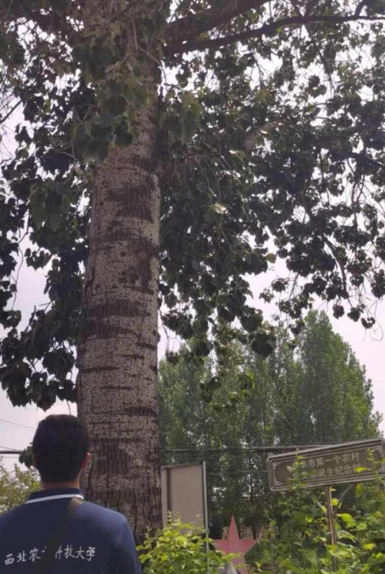 �����l�����곱ӿ���t��R��