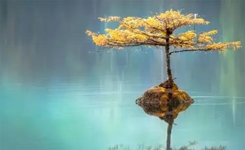 �L(zh��ng)һ�c(di��n)�����˄�(l��)־����