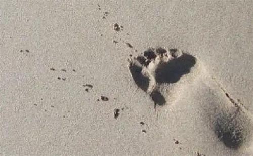 ��W���͘Iָ���LՄӛ�