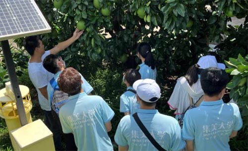 ���W���֡����g �f�����塱���d