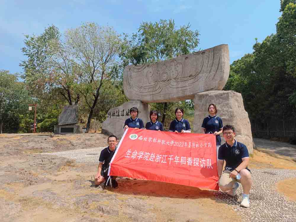 ��⵾���⣬�����l(xi��ng)���� | ���r�W�Ӻ�ķ���zַ֮��