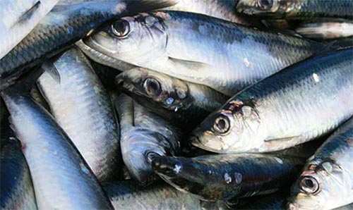 ��С�ߵ����淨�t