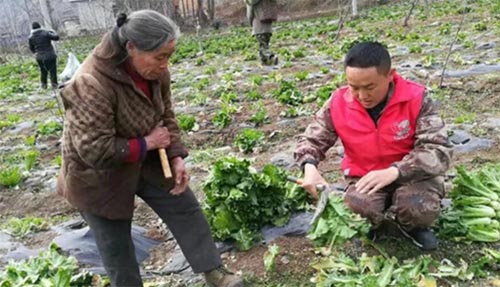 ��������ʯ�p��ץÓؚ ���µ��(chu��ng)��·