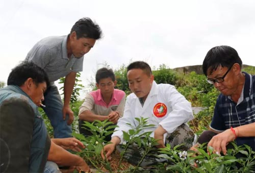 ������?ji��n)^��(zh��n)��Óؚһ���ի@��(n��i)���Sӯ