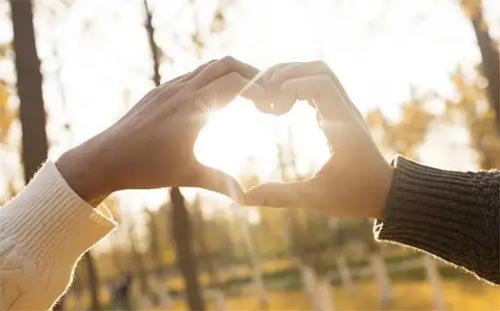 �F�Ŀ������O��