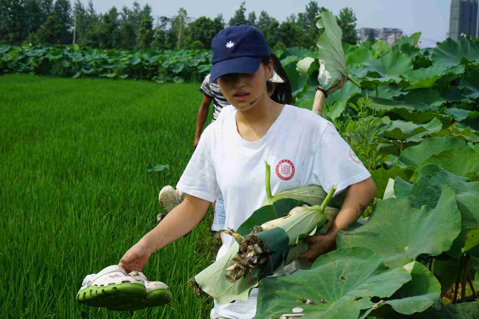 ���������l��������`����������W���M�пɳ��m�r�Z�wϵ�D���{�С�