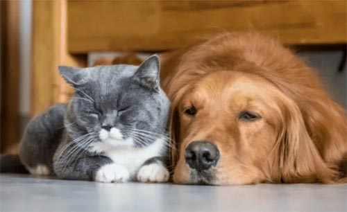 �ƴ�ÿһ���������ÿһ������