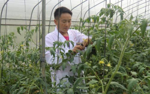 ��������һ��������ؚ���s����ɽ