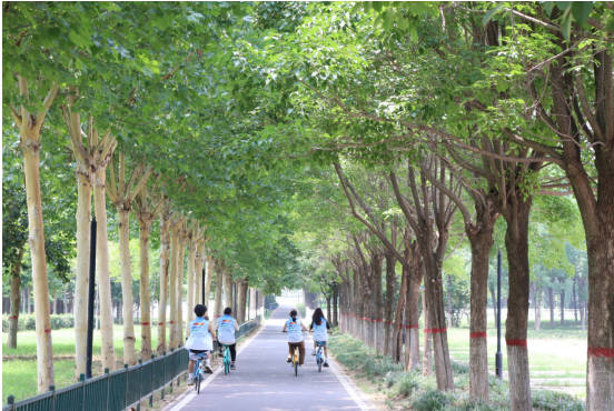 �������B�Ļ����@,Ʒ���̚vʷ�Ļ� ���N