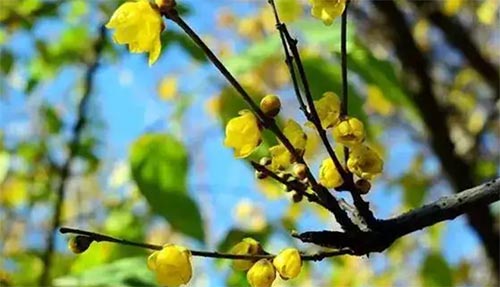 �����S����������