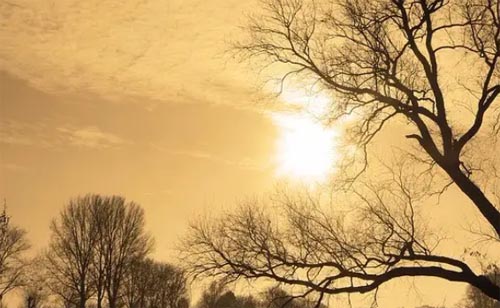 �ЌW(xu��)�ؿ�����ƪ����˹̹��(l��)־����