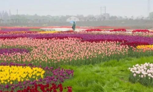 �����x��С�W���ЌW���`���ص����