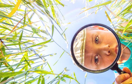 �����xӛ���s���x���