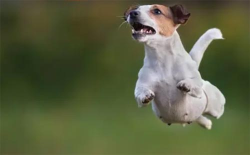 �x�����w�Ĺ����и�