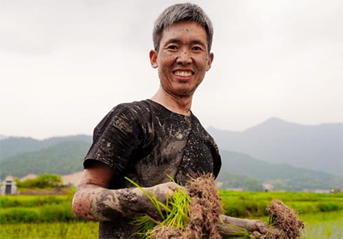 ���l�N��ʮ���� ���f���l�����d�x���_�a�I���d��