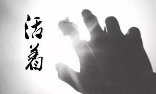 �������������x���