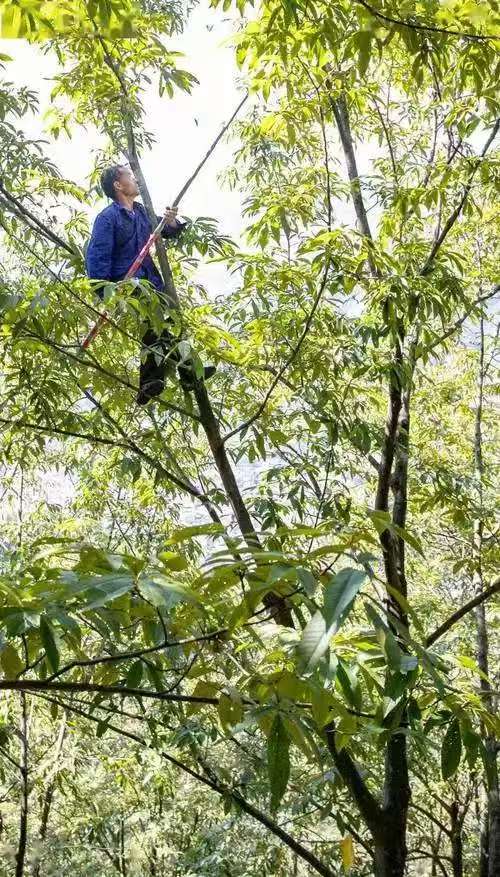 ���������d������������ɽ�����r�����LՄ���