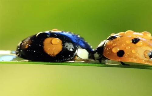 �����xӛ���x���