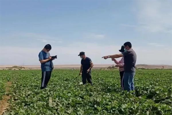 ��H־Ը�������½������߳��e������֮·