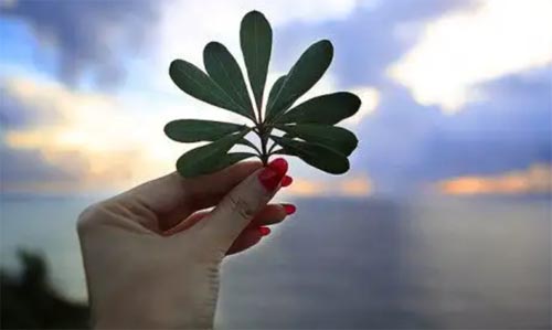 �����ҵ��ۣ����������