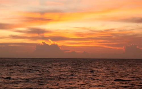 ؐ��ҵĚ�����־���º���