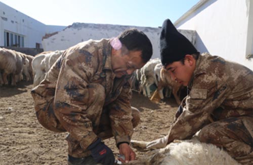 ���F־Ը�߹�˹�F���v���������