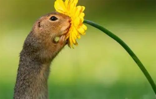 ���ж���Ȼ���x���