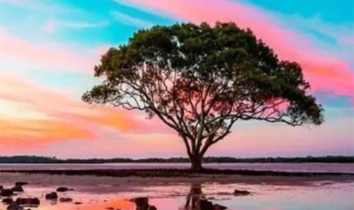 ��(ji��n)���c(di��n)�����˄�(l��)־����