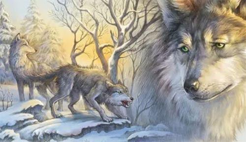 �������x���