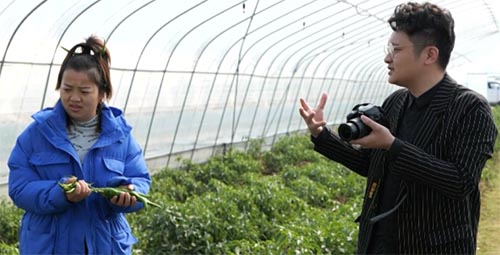 ���ӵĻ����������cȼ