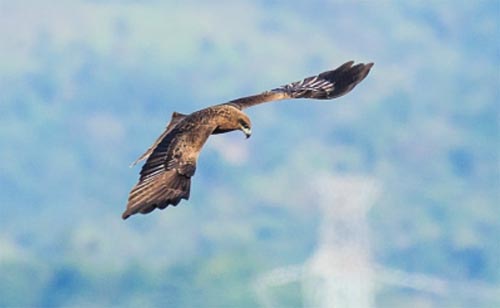 ��������ľ�B