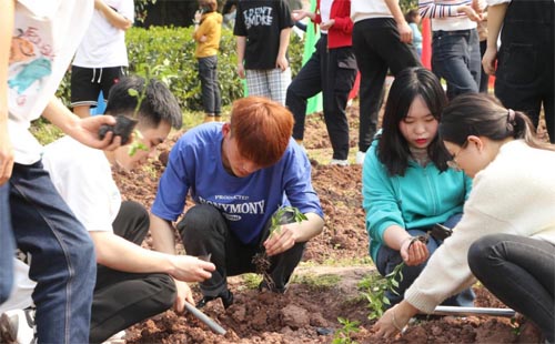 �ؑcˮ������I���g�WԺ�e�O�_չ��W���ڄӌ��`����