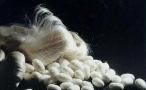 �ϝ����졪��һͬ�I�Ԃ��y�Q�z�Ļ�