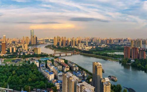 ����Ҏ�����}�v���ĵ��w��