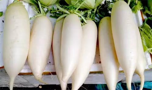 �o�ԍ��ġ����}����