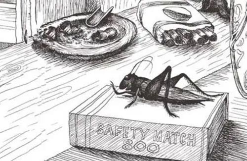 ���r���V�����󰡷�x���