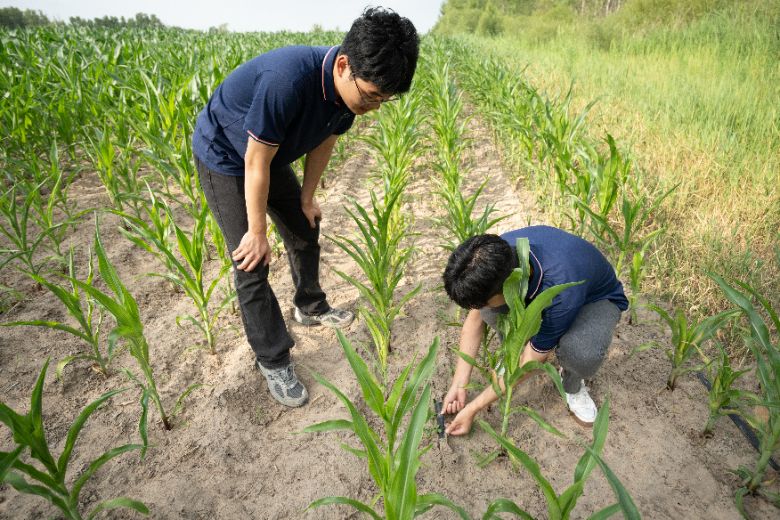 �Ї�ʯ�ʹ�W���A�|��ʯ�͹��̌WԺ��������Ұ�d�l���`ꠣ��������B���d ���o�Gɫ�҈@